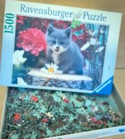 1500 Teile Puzzle Ravensburger  Katze Nordrhein-Westfalen - Köln Vogelsang Vorschau