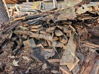 Altes Holz zu verschenken Brandenburg - Oranienburg Vorschau