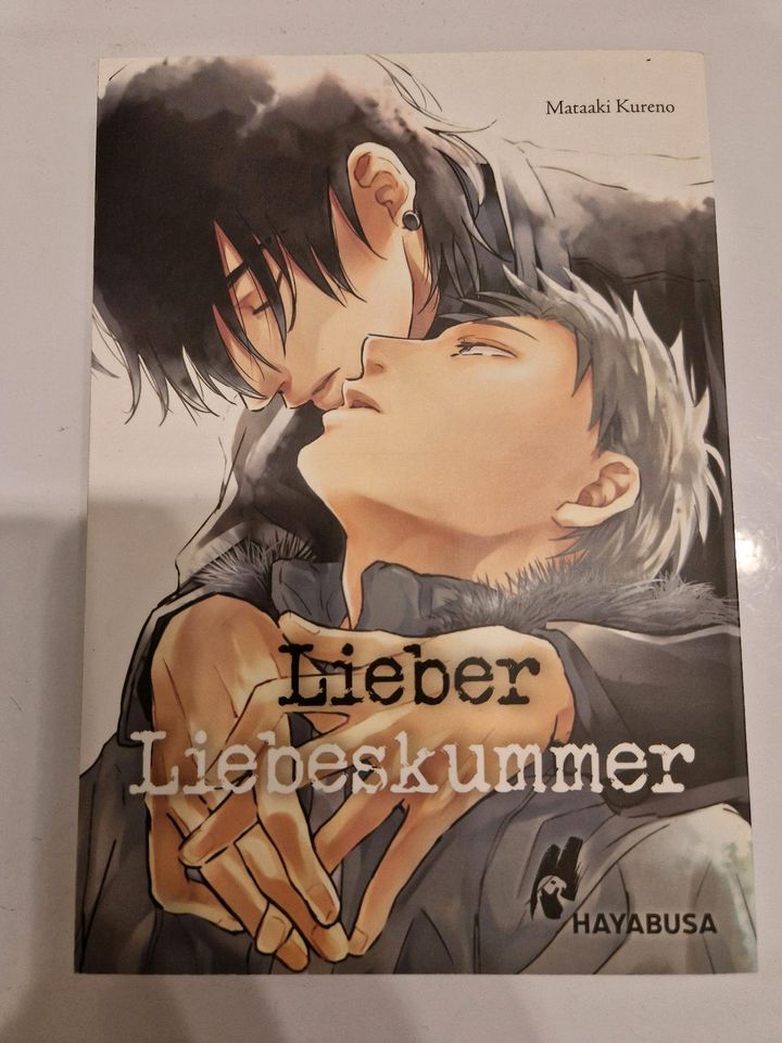 Manga Sammlung yaoi Boyslove bl Anime diverse Mangas verschiende in Würselen