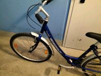 Winora Touring Fahrrad 26 Zoll gebraucht Leipzig - Neustadt-Neuschönefeld Vorschau