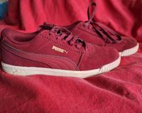 Puma Sportschuhe, sneakers, Softfoam bordeaux 38 Hessen - Herborn Vorschau