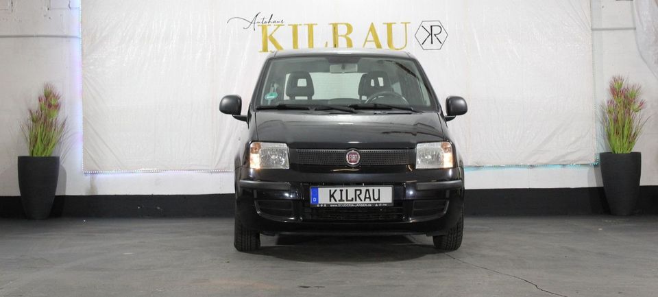 Fiat Panda 1.2 8V Classic Klima City Euro5 in Mettmann