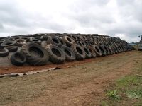 Silo Silage Fahrsilo Grassilage Futter Kleegras Gemisch 2023 Bio Hessen - Rosenthal Vorschau