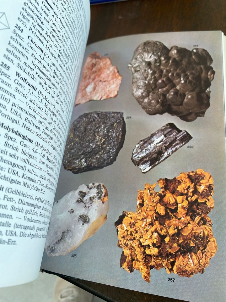 Steine und Mineralien in Vettweiß
