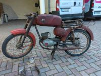 Garelli 555 Junior Moped Mofa Vintage Retro keine Hercules Rheinland-Pfalz - Guntersblum Vorschau