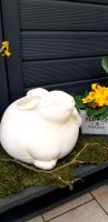 Garten Deko Hase Keramik Osterhase Rheinland-Pfalz - Bendorf Vorschau