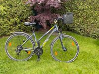 Damen Trekking Fahrrad Rahmen 48er Berlin - Kladow Vorschau