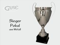 Dieser Siegerpokal ist für Champions und besteht aus Metall, 51cm Niedersachsen - Niemetal Vorschau