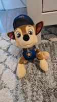 Kuscheltiere verschiedene Marvel paw patrol Nordrhein-Westfalen - Paderborn Vorschau