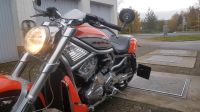 Harley Davidson V Rod/Streetrod Nordrhein-Westfalen - Velbert Vorschau