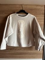 Pulli Puma Bayern - Viereth-Trunstadt Vorschau