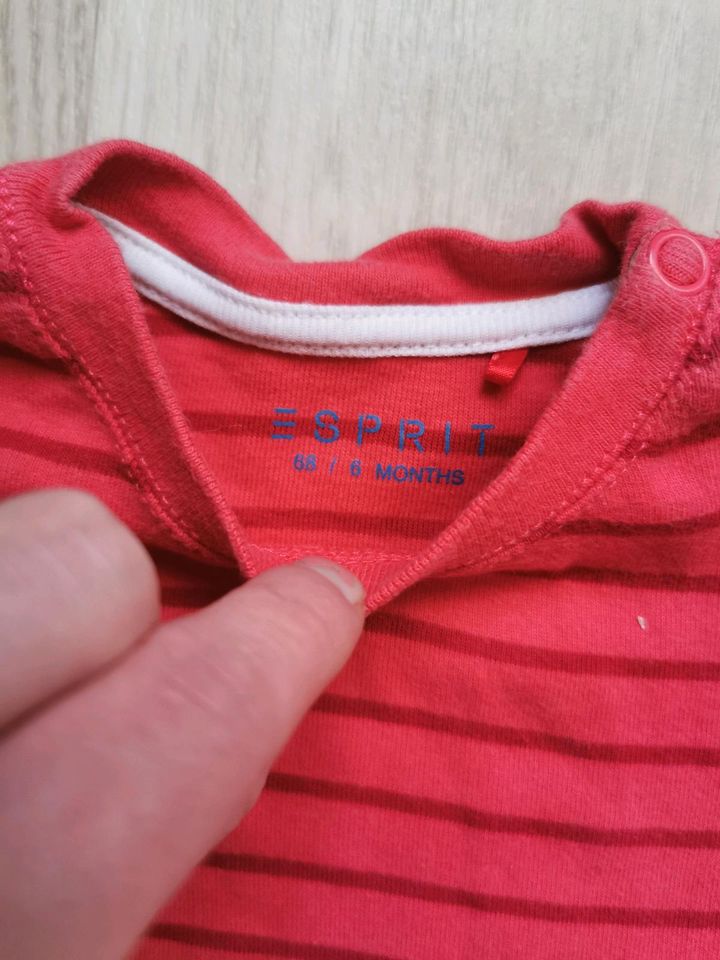 Baby Mädchen Esprit Tshirt Shirt Top Gr 68 gestreift Streifen in Fürth