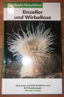 Steinbachs Naturführer ,, Einzeller und Wirbellose,, Mecklenburg-Vorpommern - Neubrandenburg Vorschau