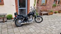 Suzuki Savage LT 650 Hessen - Groß-Umstadt Vorschau