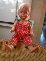 Süße Schildkröt Puppe Christel aus Celluloid Niedersachsen - Jever Vorschau