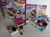 41009  Lego Friends Brandenburg - Treuenbrietzen Vorschau