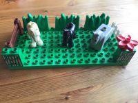 Lego Duplo Weide mit Pferden Rheinland-Pfalz - Diez Vorschau