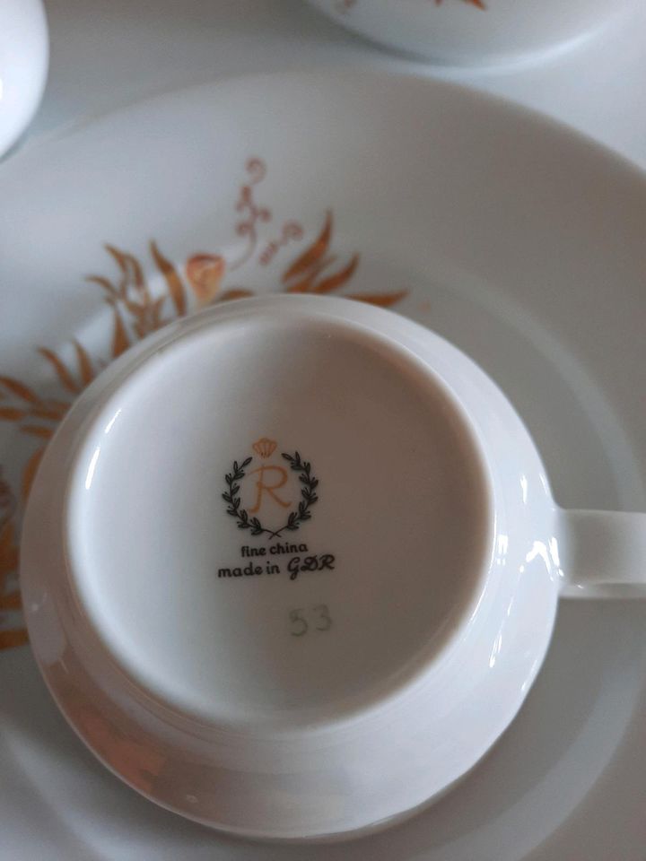 Kaffeeservice Reichenbacher Porzellan in Saalburg-Ebersdorf