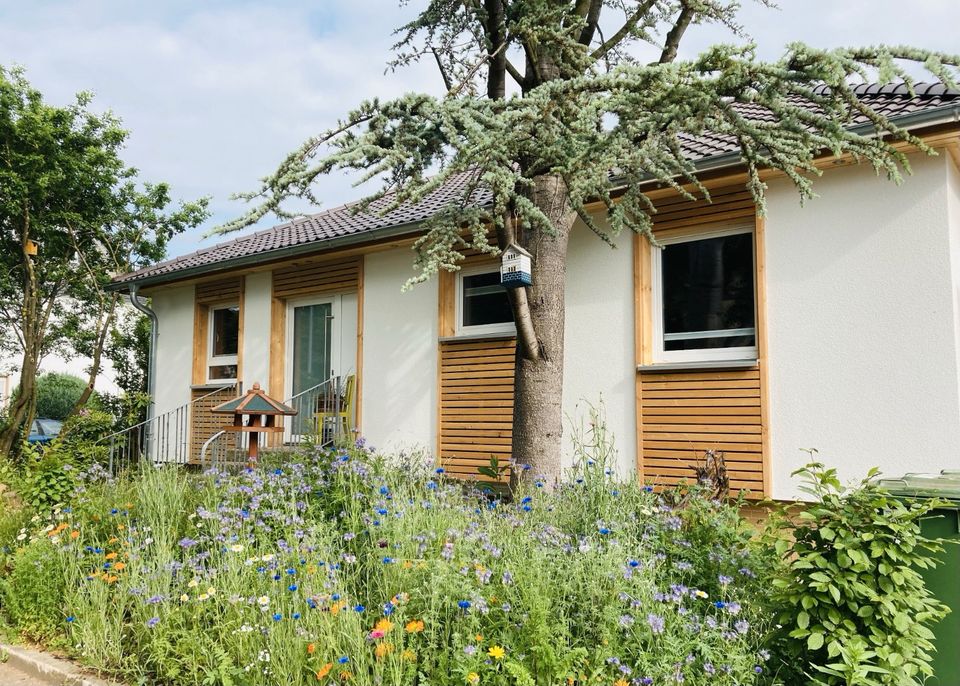 Ferienhaus in Nordhessen mit SAUNA‼️ Nahe Tierpark/Urwald in Hofgeismar