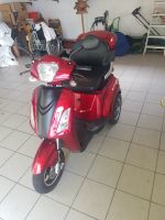 Libra E -  Scooter Roller - Rot - 30AH Nordrhein-Westfalen - Paderborn Vorschau