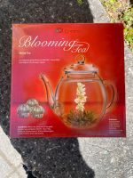 Blooming Teekanne mit Teeblüten  in einer Kugel München - Thalk.Obersendl.-Forsten-Fürstenr.-Solln Vorschau