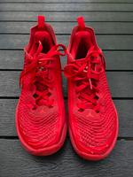 Nike Basketballschuhe Gr 42 Bonn - Beuel Vorschau