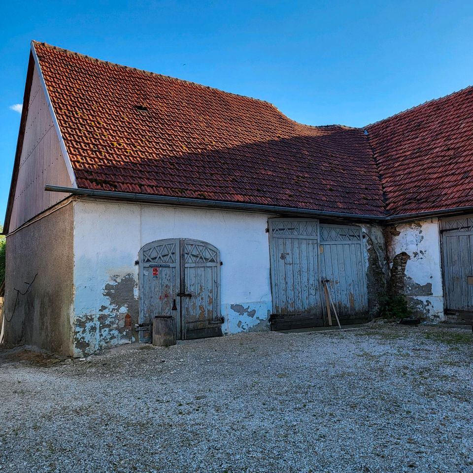 Alter Stadel zum Sebstabbau/Abtrag in Tapfheim