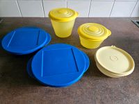 Tupperware verschiedene Schüsseln mit Deckel Brandenburg - Velten Vorschau