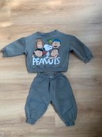 Zara Hose Pullover Set Peanuts Grau Größe 86 Bayern - Cadolzburg Vorschau