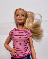 BARBIE Hundemama Welpen und Puppe FBN17 Dresden - Pieschen Vorschau