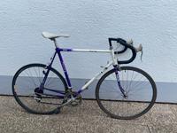 Rennrad Raleigh Baden-Württemberg - Kenzingen Vorschau