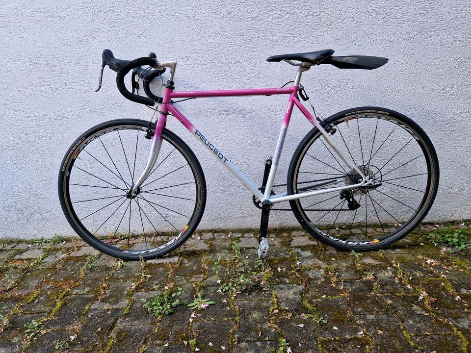 Peugeot Fahrrad Cyclocross/Gravel in Stuttgart