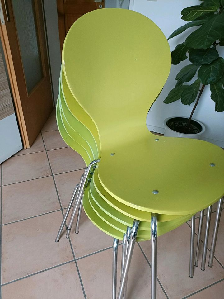 Stühle 5 Stück in Ostbevern