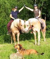 Gemütliche Ausritte auf braven Pferden/Ponys im schönen Rottal Bayern - Bayerbach Vorschau