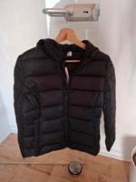 Ungetragene Steppjacke Nordrhein-Westfalen - Netphen Vorschau