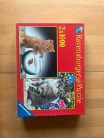 Puzzle Katzen 2 Stück je 1000 Teile Deggendorf - Seebach Vorschau