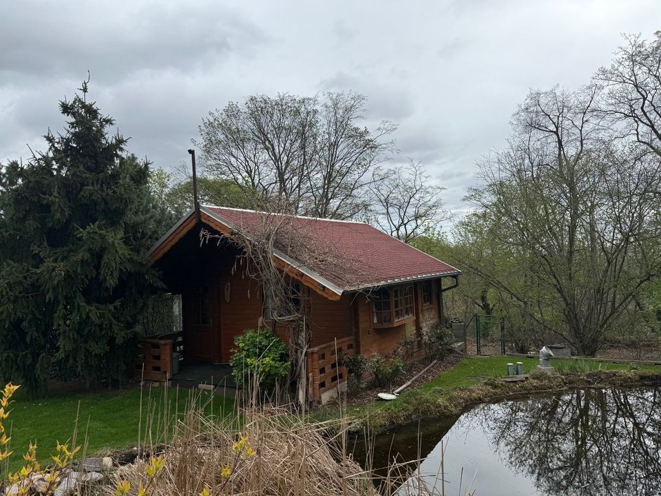 Blockbohlen-Gartenhaus mit Inneneinrichtung Tischleranfertigung in Dresden