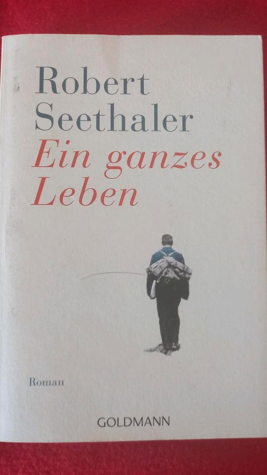 Robert Seethalee: Ein ganzes Leben. Roman in Berlin