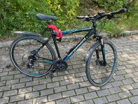 Bergamont 28 Zoll Fahrrad Wandsbek - Hamburg Bramfeld Vorschau