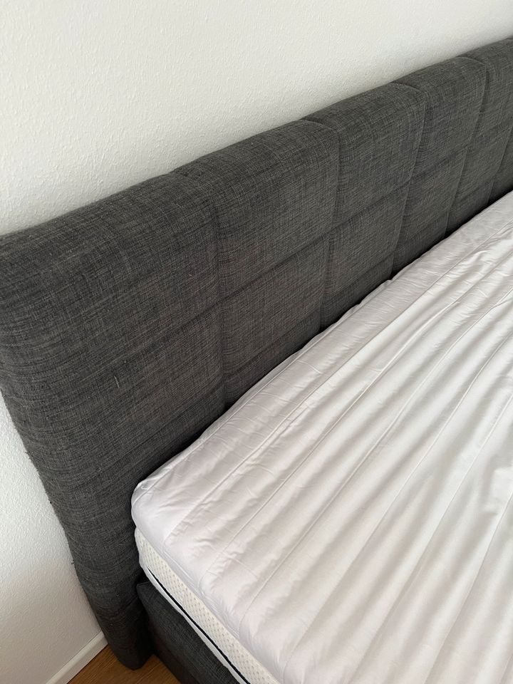 Boxspringbett 160x200 cm in Brühl