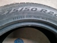 Reifen passend zu G Klasse All season von Pirelli Hessen - Dieburg Vorschau