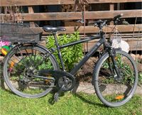 Citybike Pegasus Gr 48 Baden-Württemberg - Todtnau Vorschau