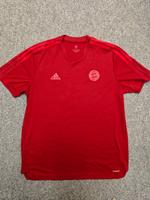 Adidas FC Bayern München Trikot rot Herren Gr. XL Hessen - Sulzbach Vorschau