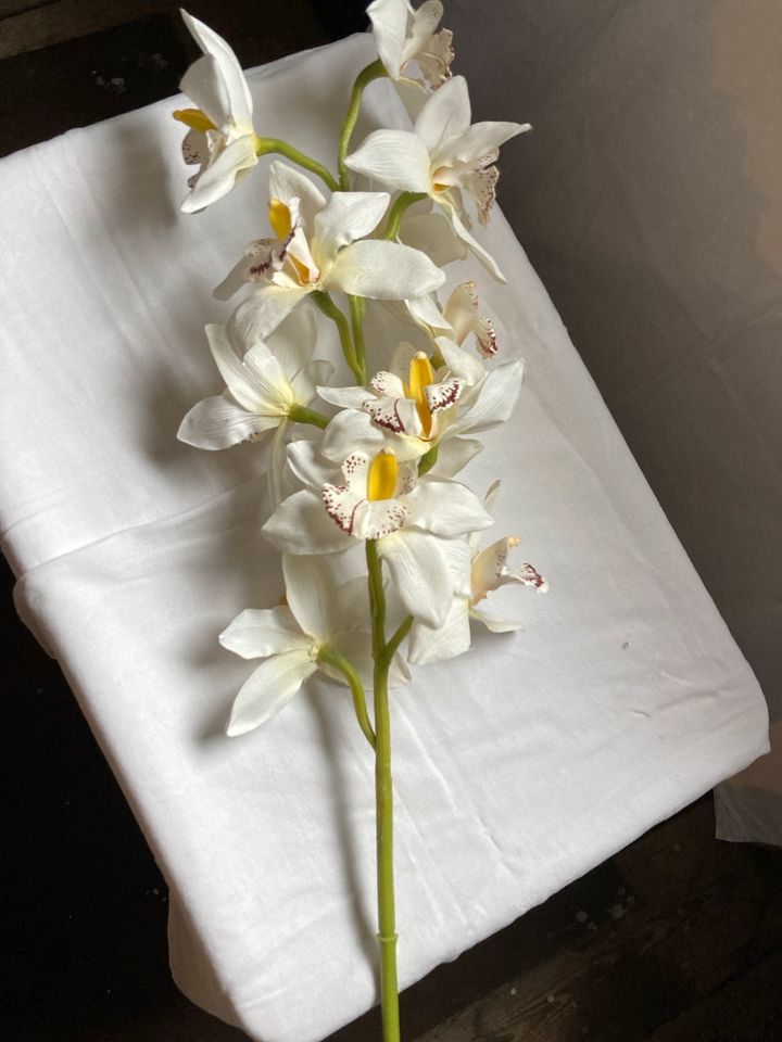 Dekoblume - Orchidee - lang - ca 80 cm in Steinbach-Hallenberg (Thüringer W)