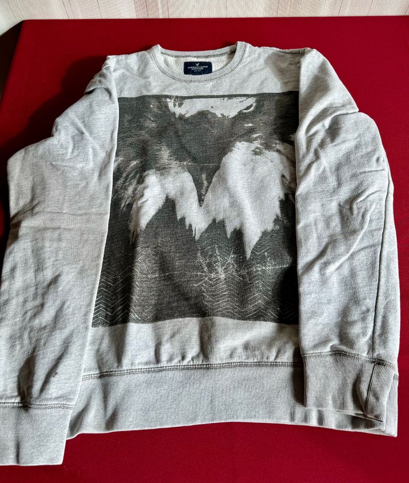 American Eagle Outfitters Sweat-Shirt Gr. M Adler-Motiv Pullover in Limburg