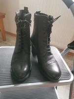 Echtleder Stiefelette Nordrhein-Westfalen - Gelsenkirchen Vorschau