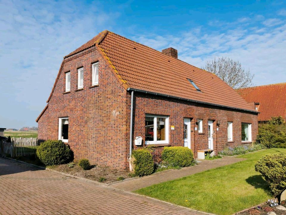 Buchungslücke Ferienhaus Last Minute Nordsee Hundeurlaub sommer in Werdum