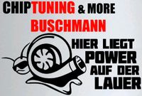 Chiptuning Softwaretuning Motortuning Bayern - Patersdorf Vorschau