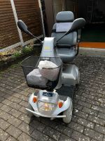 Dietz Agin Seniorenscooter Elektroscooter Elektromobil Rheinland-Pfalz - Saulheim Vorschau