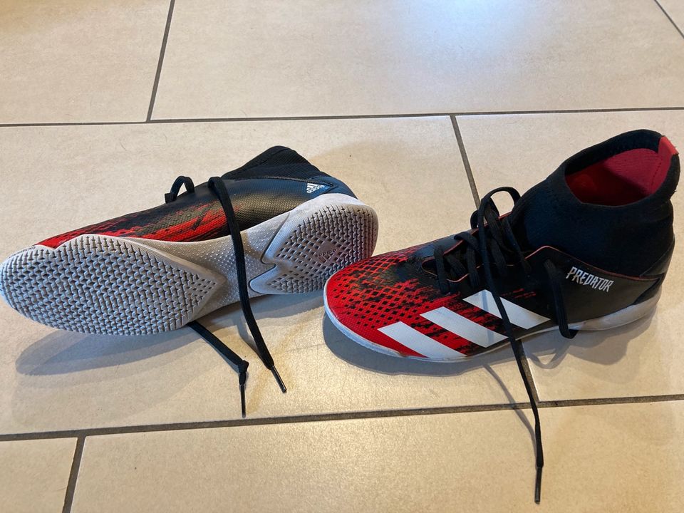 Adidas Predator Hallenschuhe/Fußballschuhe in Kamp-Lintfort